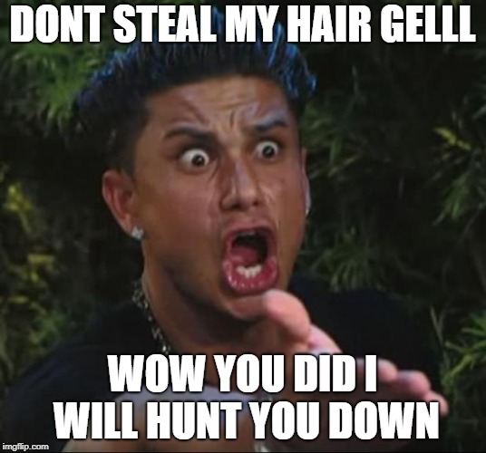 DJ Pauly D Meme | DONT STEAL MY HAIR GELLL; WOW YOU DID I WILL HUNT YOU DOWN | image tagged in memes,dj pauly d | made w/ Imgflip meme maker