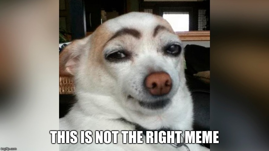 THIS IS NOT THE RIGHT MEME | made w/ Imgflip meme maker