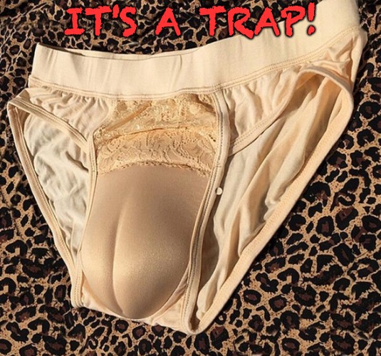 It's A Trap | IT'S A TRAP! | image tagged in it's a trap,cnn fake news,cameltoe | made w/ Imgflip meme maker