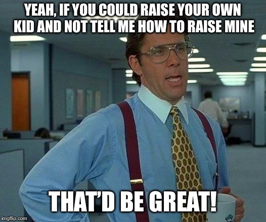 That Would Be Great | YEAH, IF YOU COULD RAISE YOUR OWN KID AND NOT TELL ME HOW TO RAISE MINE; THAT’D BE GREAT! | image tagged in memes,that would be great | made w/ Imgflip meme maker