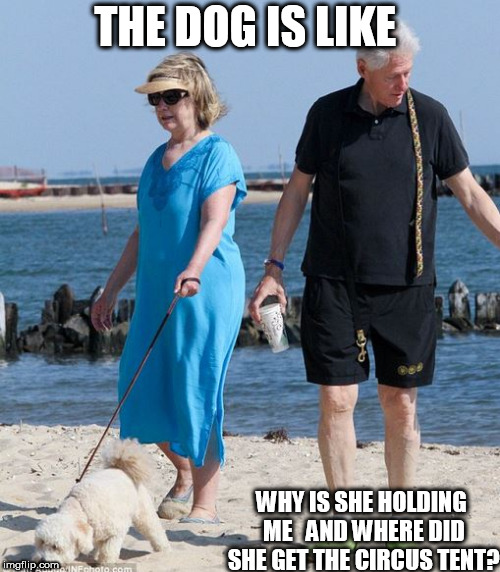 Barnum & Bailey's TENT  HAS GONE MISSING! | THE DOG IS LIKE; WHY IS SHE HOLDING ME 

AND WHERE DID SHE GET THE CIRCUS TENT? | image tagged in hillary clinton,tent,circus,came,to,town | made w/ Imgflip meme maker