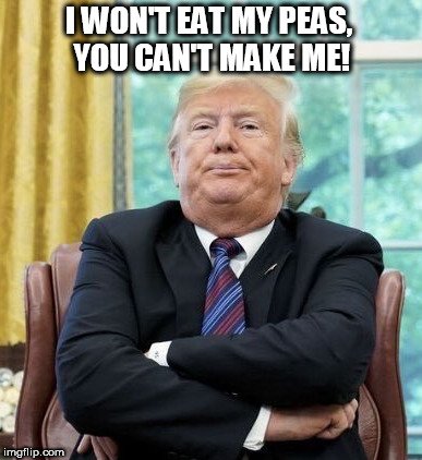 Leader of the Free World | I WON'T EAT MY PEAS, YOU CAN'T MAKE ME! | image tagged in politics lol,funny meme,crybabies | made w/ Imgflip meme maker