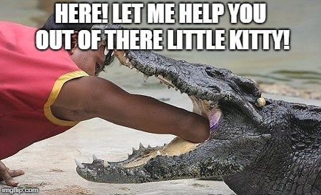 Croc | HERE! LET ME HELP YOU OUT OF THERE LITTLE KITTY! | image tagged in croc | made w/ Imgflip meme maker