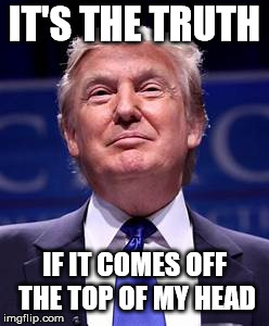 Donald Trump smug | IT'S THE TRUTH IF IT COMES OFF THE TOP OF MY HEAD | image tagged in donald trump smug | made w/ Imgflip meme maker