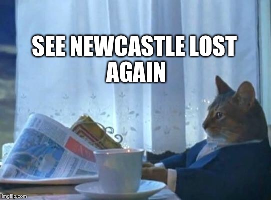 Cat newspaper | SEE NEWCASTLE
LOST AGAIN | image tagged in cat newspaper | made w/ Imgflip meme maker