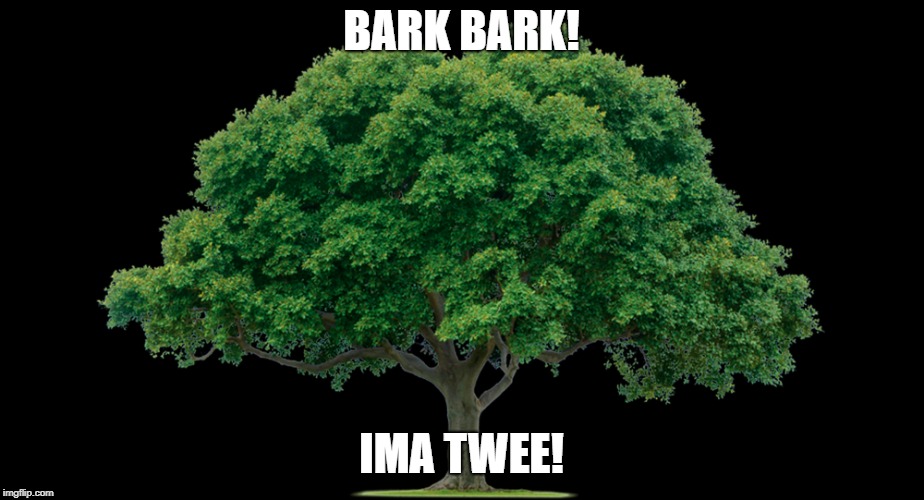 The Sound of Trees | BARK BARK! IMA TWEE! | image tagged in tree,bark,sound,explained,the sound of trees | made w/ Imgflip meme maker