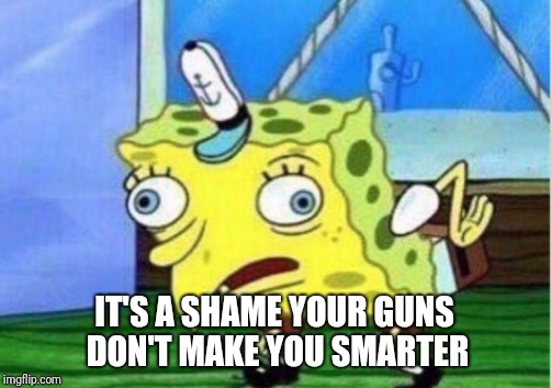 Mocking Spongebob Meme | IT'S A SHAME YOUR GUNS DON'T MAKE YOU SMARTER | image tagged in memes,mocking spongebob | made w/ Imgflip meme maker