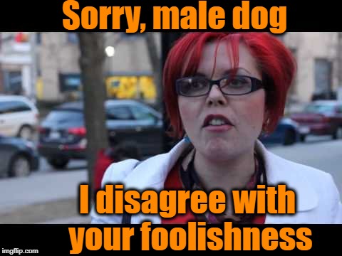 Sorry, male dog I disagree with your foolishness | image tagged in smiling feminist | made w/ Imgflip meme maker