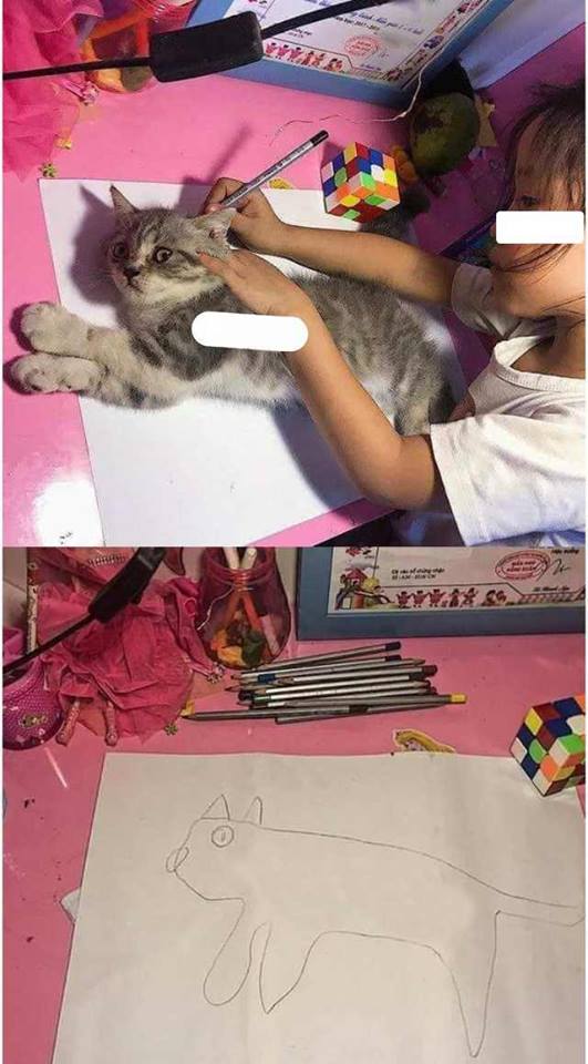 High Quality Drawing Cat Blank Meme Template