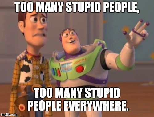 Too many | TOO MANY STUPID PEOPLE, TOO MANY STUPID PEOPLE EVERYWHERE. | image tagged in memes,x x everywhere,stupid,people,too | made w/ Imgflip meme maker