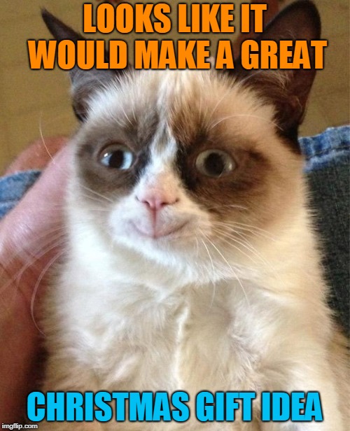 Grumpy Cat Happy Meme | LOOKS LIKE IT WOULD MAKE A GREAT CHRISTMAS GIFT IDEA | image tagged in memes,grumpy cat happy,grumpy cat | made w/ Imgflip meme maker