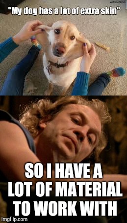 It puts the lotion on the dog | SO I HAVE A LOT OF MATERIAL TO WORK WITH | image tagged in buffalo bill,dog,silence of the lambs | made w/ Imgflip meme maker