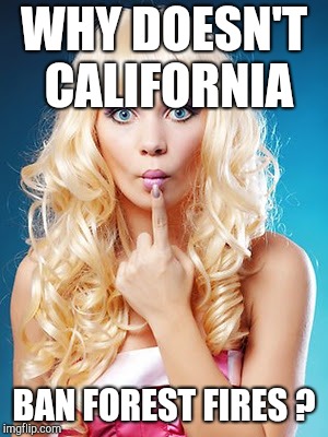 Dumb blonde | WHY DOESN'T CALIFORNIA BAN FOREST FIRES ? | image tagged in dumb blonde | made w/ Imgflip meme maker