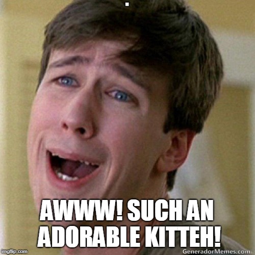 awww | AWWW! SUCH AN ADORABLE KITTEH! | image tagged in awww | made w/ Imgflip meme maker