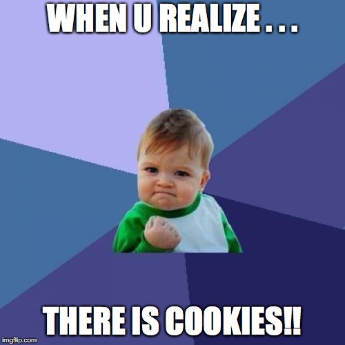 Success Kid Meme | WHEN U REALIZE . . . THERE IS COOKIES!! | image tagged in memes,success kid | made w/ Imgflip meme maker
