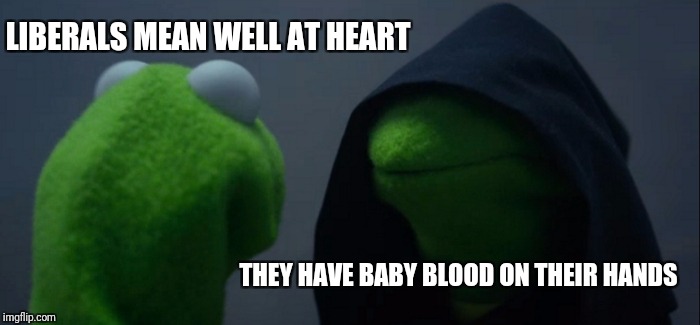 Evil Kermit | LIBERALS MEAN WELL AT HEART; THEY HAVE BABY BLOOD ON THEIR HANDS | image tagged in memes,evil kermit | made w/ Imgflip meme maker