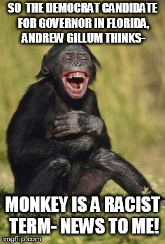 Laughing monkey | SO  THE DEMOCRAT CANDIDATE FOR GOVERNOR IN FLORIDA, ANDREW GILLUM THINKS-; MONKEY IS A RACIST TERM- NEWS TO ME! | image tagged in laughing monkey | made w/ Imgflip meme maker