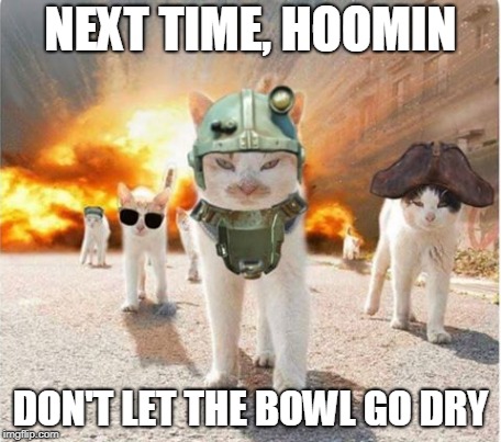Next Time | NEXT TIME, HOOMIN; DON'T LET THE BOWL GO DRY | image tagged in cats | made w/ Imgflip meme maker