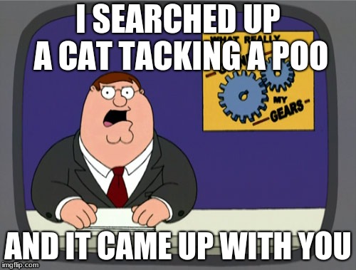Peter Griffin News Meme | I SEARCHED UP A CAT TACKING A POO; AND IT CAME UP WITH YOU | image tagged in memes,peter griffin news | made w/ Imgflip meme maker