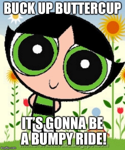 Buttercup birthday | BUCK UP BUTTERCUP IT’S GONNA BE A BUMPY RIDE! | image tagged in buttercup birthday | made w/ Imgflip meme maker
