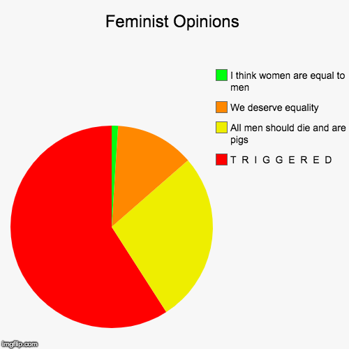 Feminist Opinions | T  R  I  G  G  E  R  E  D, All men should die and are pigs, We deserve equality, I think women are equal to men | image tagged in funny,pie charts | made w/ Imgflip chart maker