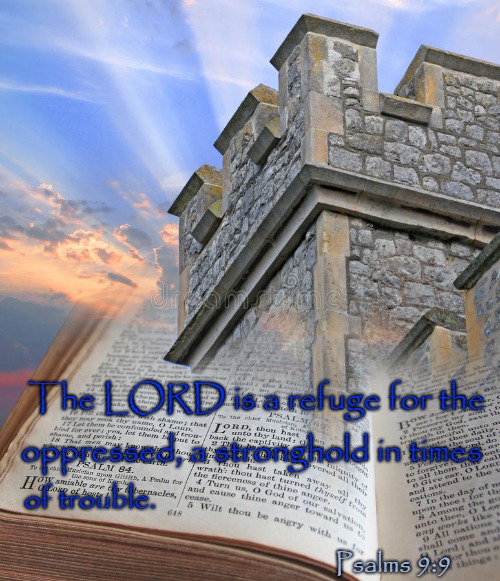 Psalms 9:9 The LORD is a Refuge for the Oppressed, A Stronghold In Times of Trouble | The LORD is a refuge for the; oppressed, a stronghold in times; of trouble. Psalms 9:9 | image tagged in holy bible,bible,holy spirit,bible verse,verse,god | made w/ Imgflip meme maker