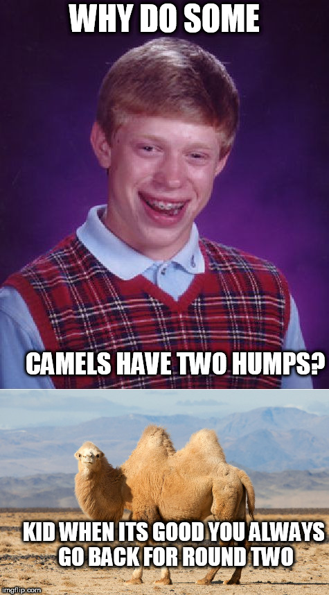 WHY DO SOME CAMELS HAVE TWO HUMPS? KID WHEN ITS GOOD YOU ALWAYS GO BACK FOR ROUND TWO | made w/ Imgflip meme maker