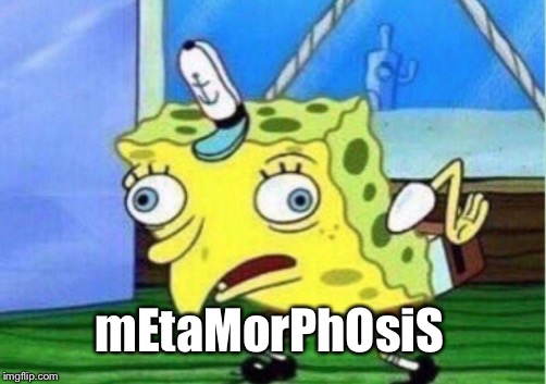 Mocking Spongebob Meme | mEtaMorPhOsiS | image tagged in memes,mocking spongebob | made w/ Imgflip meme maker