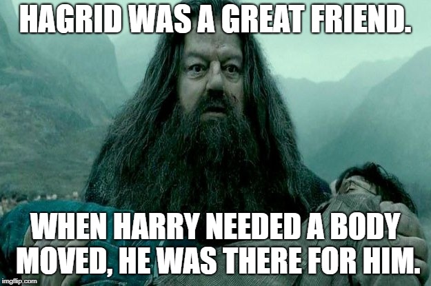HAGRID WAS A GREAT FRIEND. WHEN HARRY NEEDED A BODY MOVED, HE WAS THERE FOR HIM. | image tagged in harry potter,hide a dead body,hagrid,friendship | made w/ Imgflip meme maker