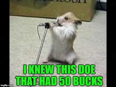 I KNEW THIS DOE THAT HAD 50 BUCKS | image tagged in hamster | made w/ Imgflip meme maker