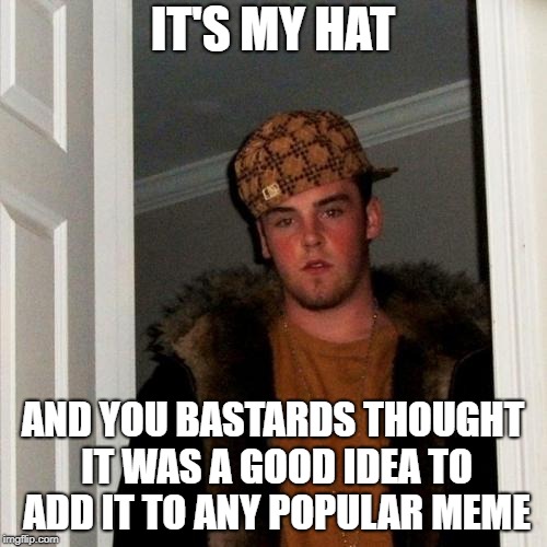 Scumbag Steve Meme | IT'S MY HAT AND YOU BASTARDS THOUGHT IT WAS A GOOD IDEA TO ADD IT TO ANY POPULAR MEME | image tagged in memes,scumbag steve | made w/ Imgflip meme maker