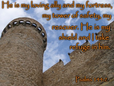 Psalms 144:2 He is My Ally and My Fortress, My Tower of Safety, My Rescuer | He is my loving ally and my fortress, my tower of safety, my; rescuer. He is my; shield and I take; refuge in him. Psalms 144:2 | image tagged in bible,holy bible,holy spirit,bible verse,verse,god | made w/ Imgflip meme maker