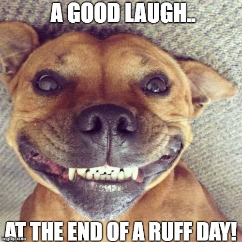 Smiling dog | A GOOD LAUGH.. AT THE END OF A RUFF DAY! | image tagged in smiling dog | made w/ Imgflip meme maker