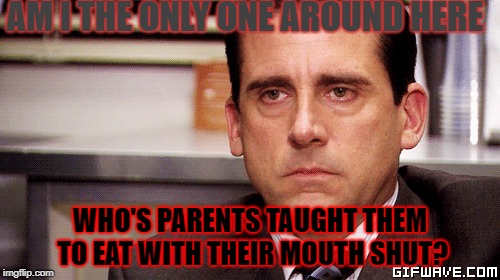 AM I THE ONLY ONE AROUND HERE; WHO'S PARENTS TAUGHT THEM TO EAT WITH THEIR MOUTH SHUT? | image tagged in grumpy cat | made w/ Imgflip meme maker