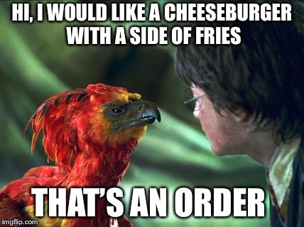 The order of the Phoenix  | HI, I WOULD LIKE A CHEESEBURGER WITH A SIDE OF FRIES; THAT’S AN ORDER | image tagged in phoenix harry potter | made w/ Imgflip meme maker