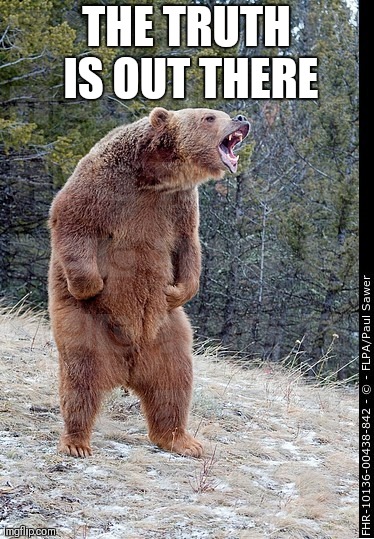 Angry bear | THE TRUTH IS OUT THERE | image tagged in angry bear,truth,bigfoot,meme,memes,joke | made w/ Imgflip meme maker