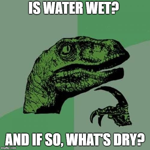 The question that every guy trying to be cool asked me. | IS WATER WET? AND IF SO, WHAT'S DRY? | image tagged in memes,philosoraptor,water | made w/ Imgflip meme maker