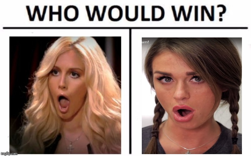 Who Would Win? Meme | image tagged in memes,who would win | made w/ Imgflip meme maker