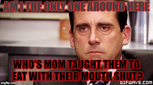 AM I THE ONLY ONE AROUND HERE; WHO'S MOM TAUGHT THEM TO EAT WITH THEIR MOUTH SHUT? | image tagged in how i feel | made w/ Imgflip meme maker