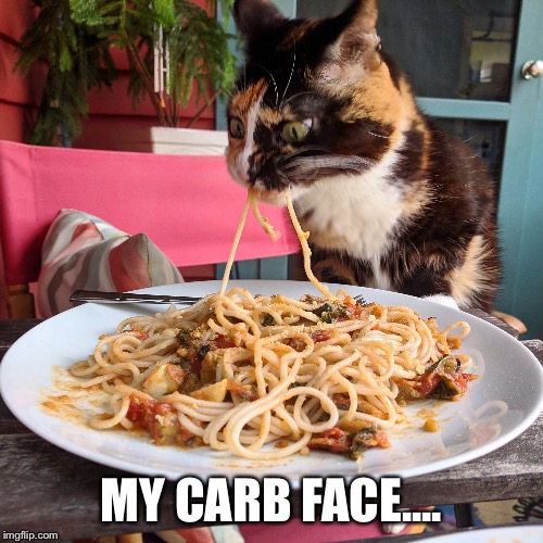 Carb face | MY CARB FACE.... | image tagged in carb,carbs,carbohydrates,face,cat,spaghetti | made w/ Imgflip meme maker