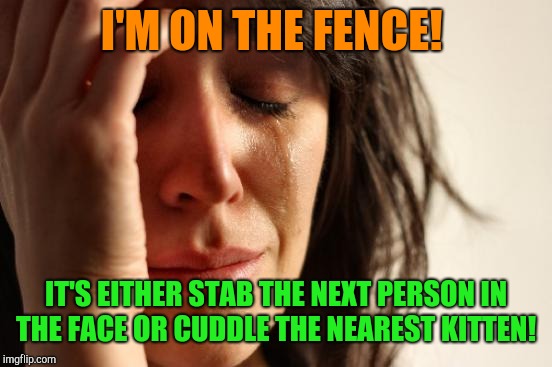 Cat people!  | I'M ON THE FENCE! IT'S EITHER STAB THE NEXT PERSON IN THE FACE OR CUDDLE THE NEAREST KITTEN! | image tagged in memes,first world problems,annoying facebook girl,kittens | made w/ Imgflip meme maker