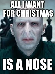 ALL I WANT FOR
CHRISTMAS; IS A NOSE | image tagged in nose,voldemort | made w/ Imgflip meme maker