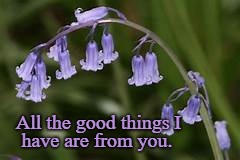 Psalms 16:2 All The Good Things I Have Are From You | All the good things I; have are from you. | image tagged in bible,holy bible,holy spirit,bible verse,god,verse | made w/ Imgflip meme maker