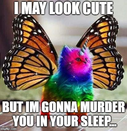 Rainbow unicorn butterfly kitten | I MAY LOOK CUTE; BUT IM GONNA MURDER YOU IN YOUR SLEEP... | image tagged in rainbow unicorn butterfly kitten | made w/ Imgflip meme maker