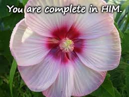 Colossians 2:10 You Are Complete In Him | You are complete in HIM. | image tagged in bible,holy bible,holy spirit,bible verse,verse,god | made w/ Imgflip meme maker