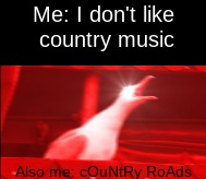 cOuNtRy RoAdS | Me: I don't like country music; Also me: cOuNtRy RoAds | image tagged in country music,roads | made w/ Imgflip meme maker