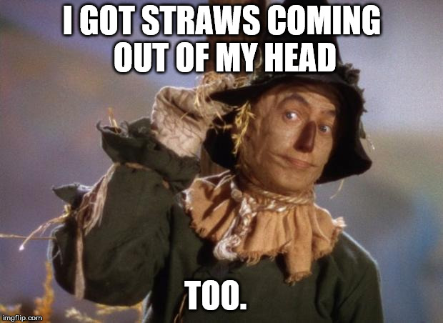 Scarecrow | I GOT STRAWS COMING OUT OF MY HEAD TOO. | image tagged in scarecrow | made w/ Imgflip meme maker