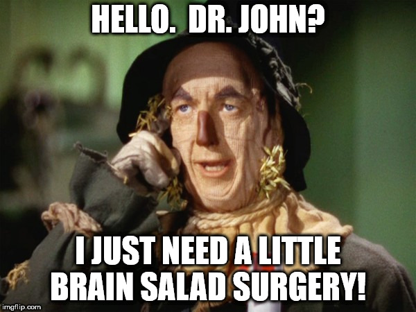 HELLO.  DR. JOHN? I JUST NEED A LITTLE BRAIN SALAD SURGERY! | image tagged in humor | made w/ Imgflip meme maker