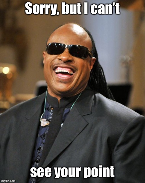Stevie Wonder | Sorry, but I can’t see your point | image tagged in stevie wonder | made w/ Imgflip meme maker