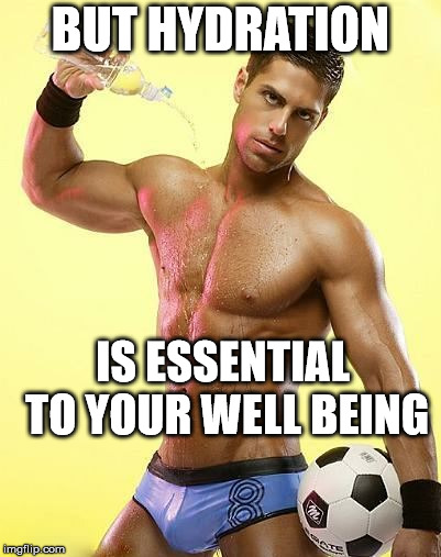 Hot guy water | BUT HYDRATION IS ESSENTIAL TO YOUR WELL BEING | image tagged in hot guy water | made w/ Imgflip meme maker